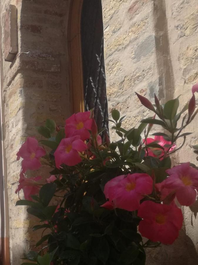 B&B Porta Girone Civitanova Alta Dış mekan fotoğraf